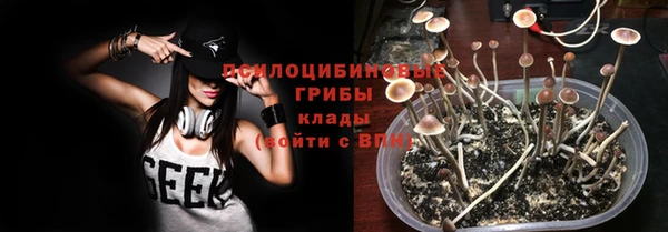 хмурый Липки