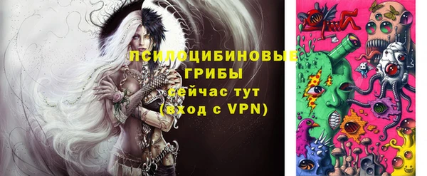 хмурый Липки